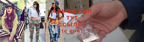 сатива Михайловск