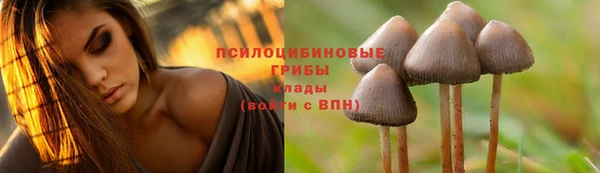 твердый Михайловка