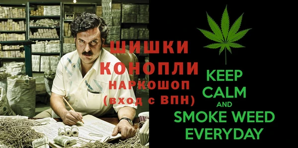 сатива Михайловск