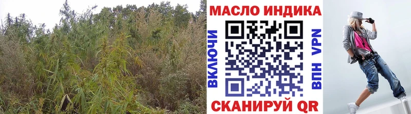 продажа наркотиков  Цоци-Юрт  ТГК THC oil 