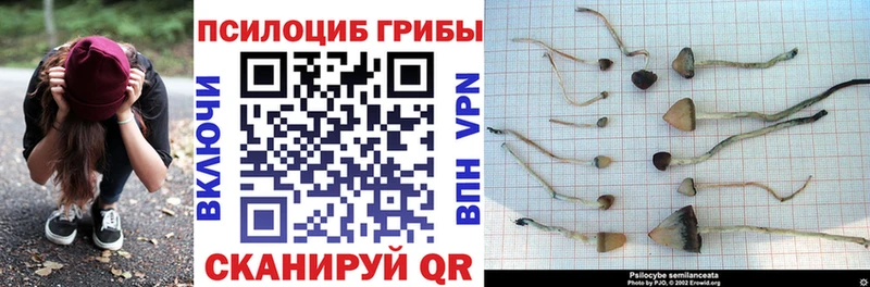 Галлюциногенные грибы MAGIC MUSHROOMS Цоци-Юрт